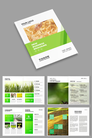 绿色农业画册 绿色农业画册