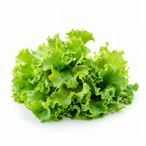 ����ɫ����