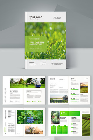 农产品画册 农产品画册