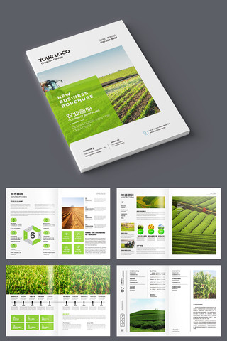 绿色农业宣传册 绿色农业宣传册
