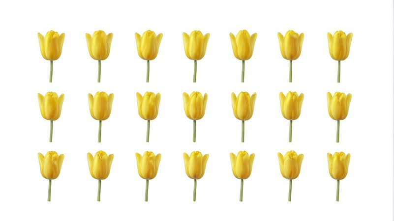 ��ɫ������ֲ��Ԫ��ͼƬ PNG