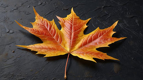 �����Ҷ��ɫ����ͼƬ