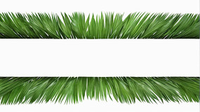 ȴҶƽͼƬ