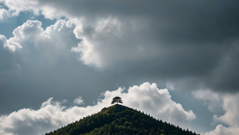 山上的一棵孤树高清风景图片 山上的一棵孤树高清风景图片