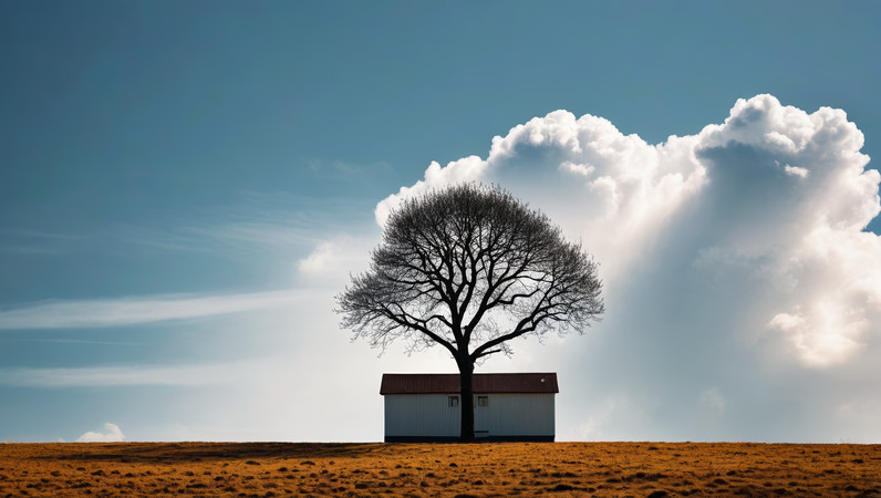 һ�ù�����������Ұ�������羰ͼƬ PNG