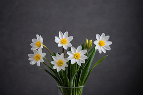 �����ϵĻ�ƿ���кܶ��ɫ�Ļ���ӰͼƬ