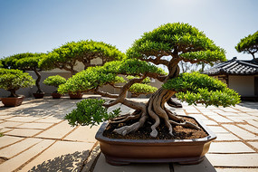 ��԰���辰ͼƬ