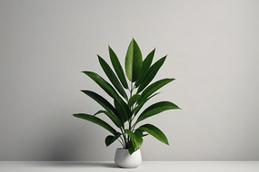 һ��ֲ����һ����ɫ�Ļ�ƿ��ͼƬ