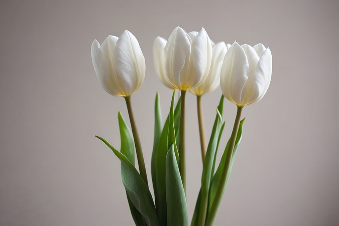 �����ϵĻ�ƿ���������ɫ������ͼƬ PNG