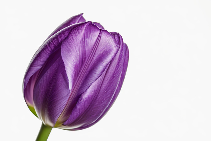 ��ɫ������ͷͼƬ PNG