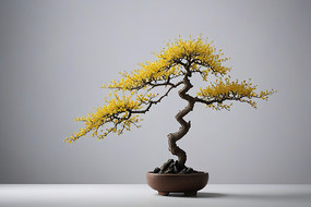 ��ɫ���г��л�ɫҶ�ӵ��辰��ͼƬ