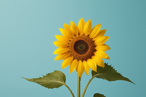 �����ϵĻ�ƿ��һ�����տ�ͼƬ