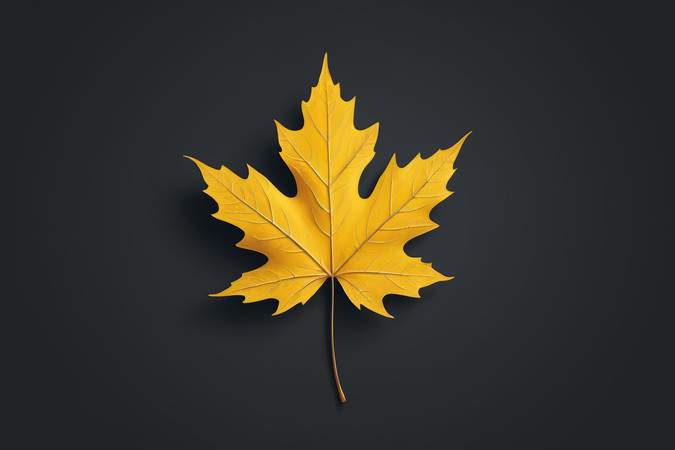 ��ɫ����������Ӱ�Ļ�ҶͼƬ PNG