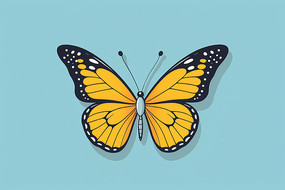 蓝色背景上一只蝴蝶图片