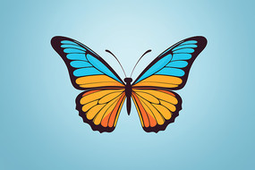 蓝色背景上一只蝴蝶图片