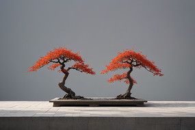 �������������辰��ͼƬ