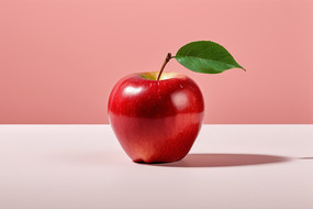 ��������һ����ƻ��������һƬҶ��ͼƬ