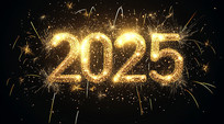 ̻ƴ2025