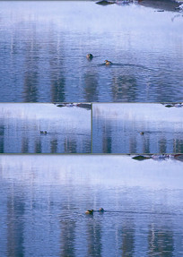 ������Ƶ4k