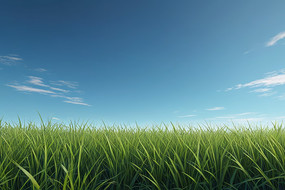 һƬݵصӽǸ屳ͼƬ
