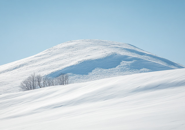 ѩ���ǵ�ɽ����¶�����ľ PNG