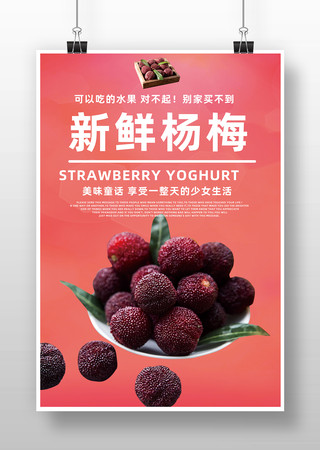 杨梅水果促销海报