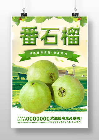 水果番石榴海报