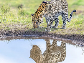 ԭϵıᴥˮ浹ӰѰ