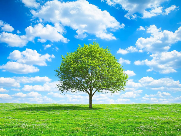 ��������µĹ¶��� PNG