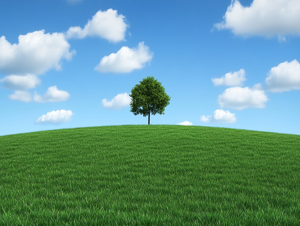 ��������µĹ¶���