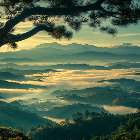 ɽ�Ͳ����������