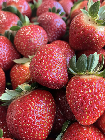 鲜甜的草莓 鲜甜的草莓