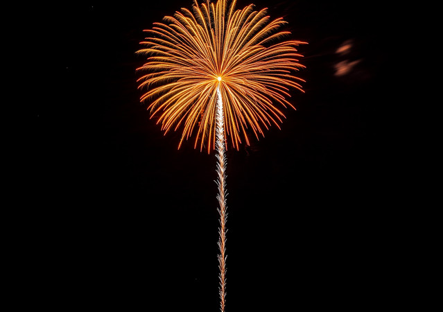 夜空中绽放的金色烟花