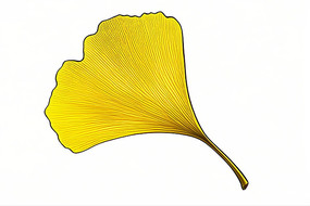 Ҷ