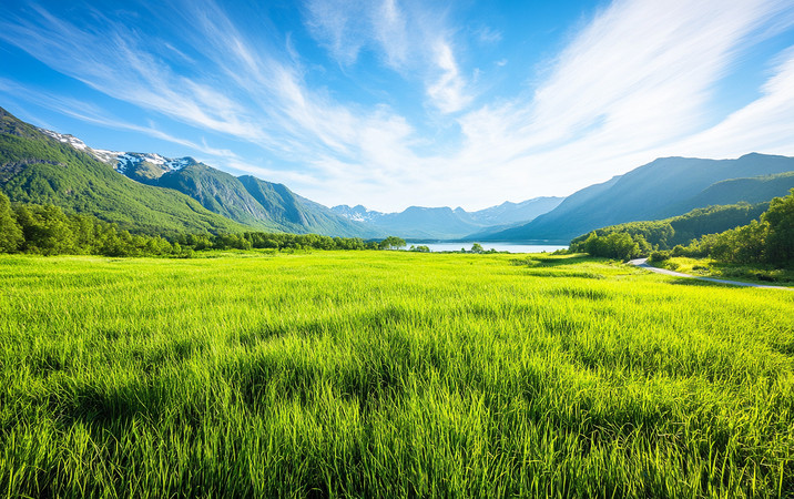 ���ɽ���е������ݵ� PNG