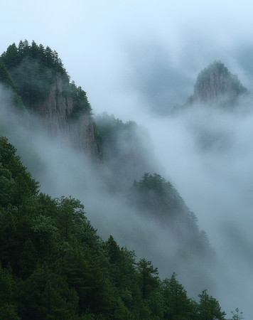 云雾缭绕的峭壁森林静谧中显现 云雾缭绕的峭壁森林静谧中显现