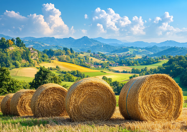 金色的草卷在宁静的乡村中 金色的草卷在宁静的乡村中