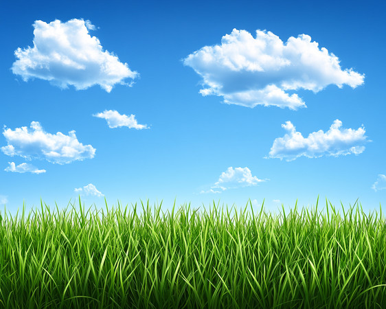 蓝天白云下的翠绿草地 蓝天白云下的翠绿草地