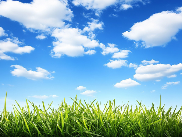 ��������µĴ��̲ݵ� PNG