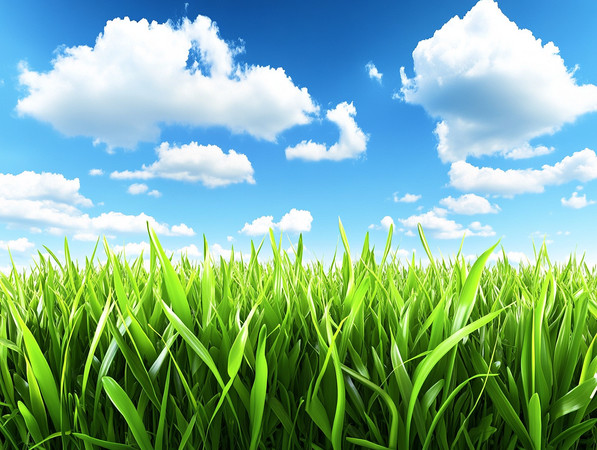 ��������µĴ��̲ݵ� PNG