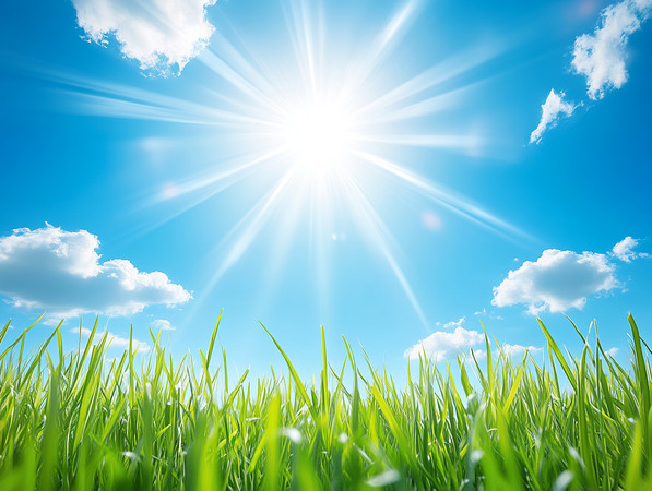 蓝天白云下的翠绿草地 蓝天白云下的翠绿草地