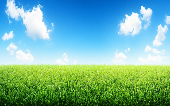 蓝天白云下的翠绿草坪 蓝天白云下的翠绿草坪