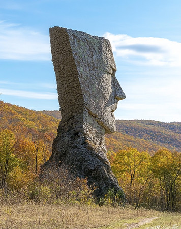 秋季森林中的巨大人脸石雕