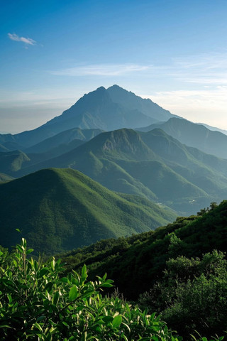 ɽǰһЩľ͹ľԸͼƬ