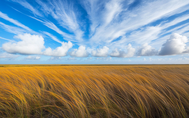 ��ɫ�����е�����