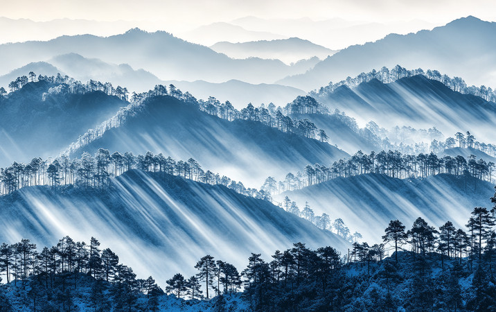 晨光中的山脉与树木 晨光中的山脉与树木