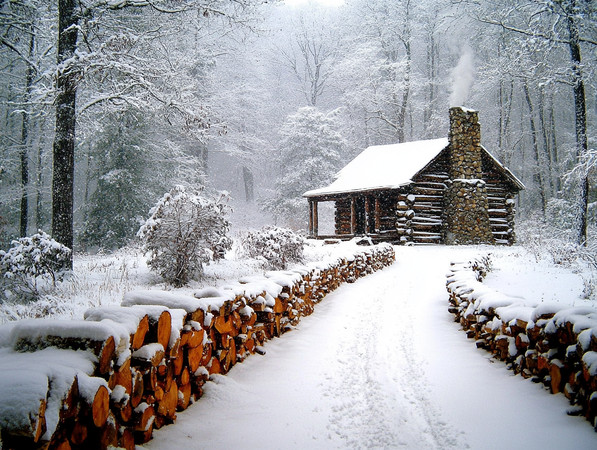 冬日里的原木小屋雪景静谧