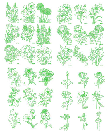时尚植物花朵CAD图库
