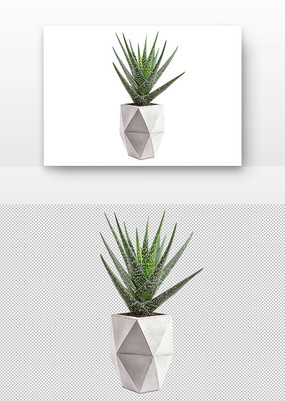 ֲ