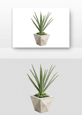 ֲ